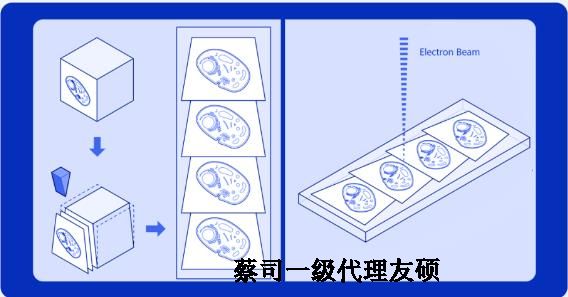 忻州蔡司忻州扫描电镜